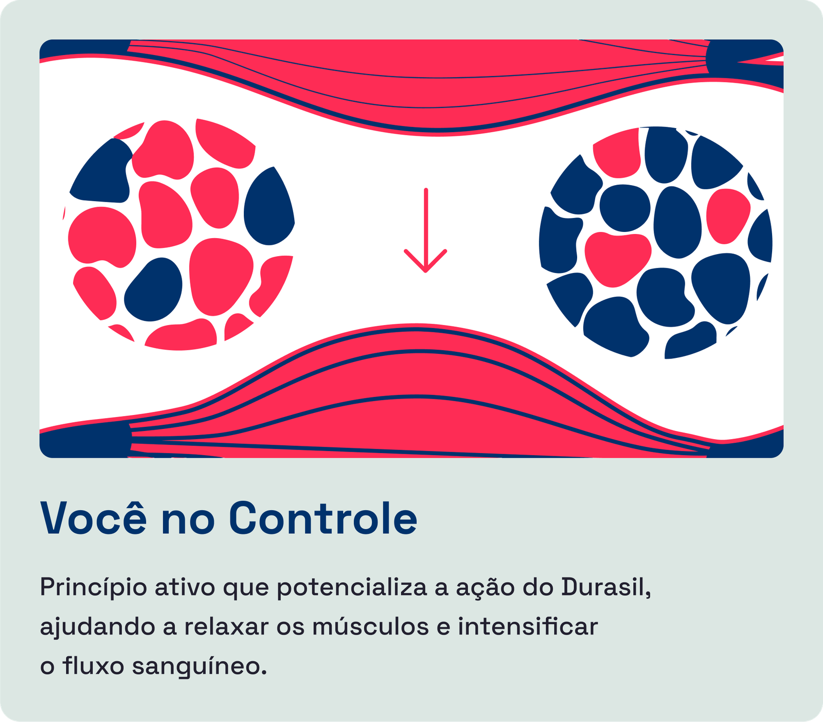 Você no controle